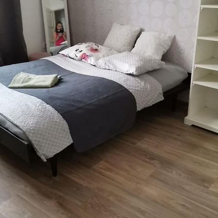 Stylovy Apartman V Centru Nachoda Zewnętrze zdjęcie