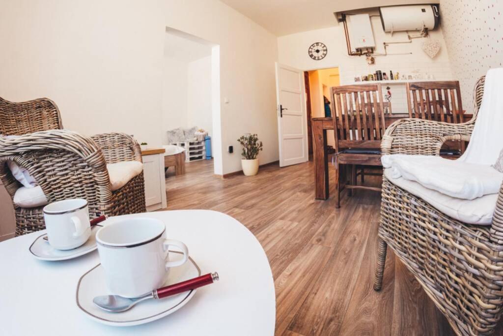 Stylovy Apartman V Centru Nachoda Zewnętrze zdjęcie